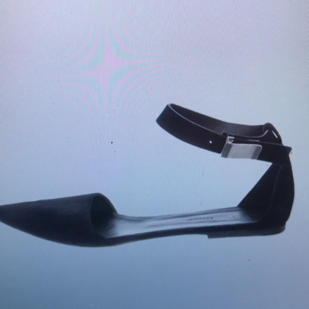 Proenza SChouler suede ballet flats